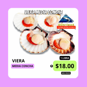DONYMAR | Viera (c/concha)