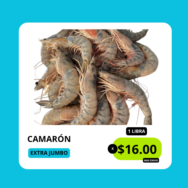 cam. extr jumbo cam. extr jumbo