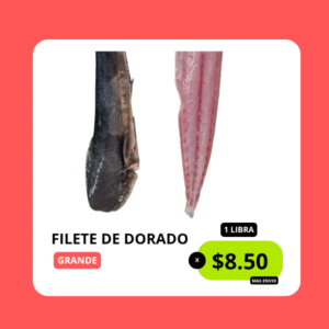 DONYMAR | Inicio DONYMAR | Inicio