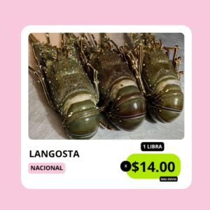 langosta nacional