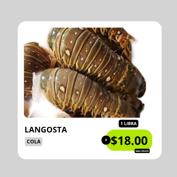 langosta nacional langosta nacional