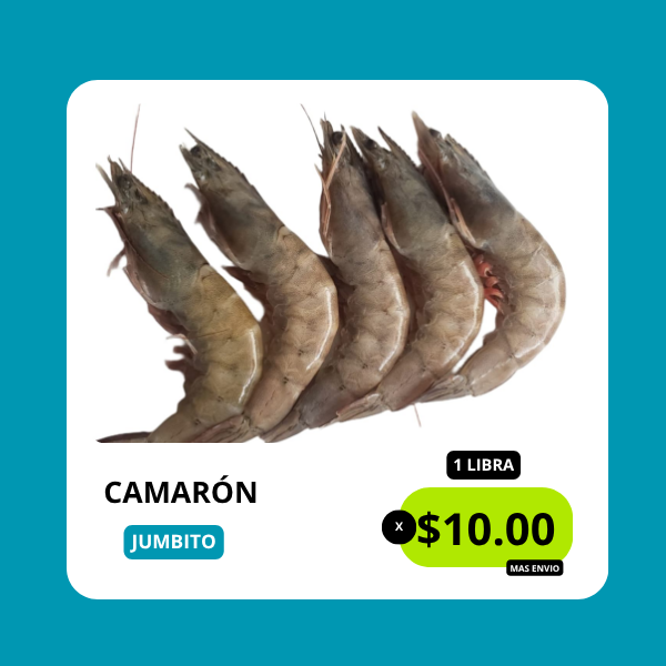 cam. extr jumbo cam. extr jumbo