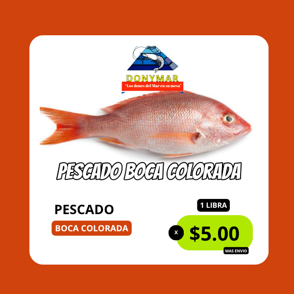 langosta nacional langosta nacional