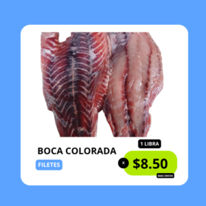 DONYMAR | Inicio DONYMAR | Inicio