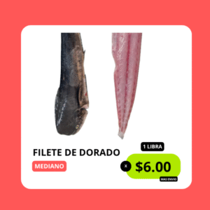 DONYMAR | Inicio DONYMAR | Inicio