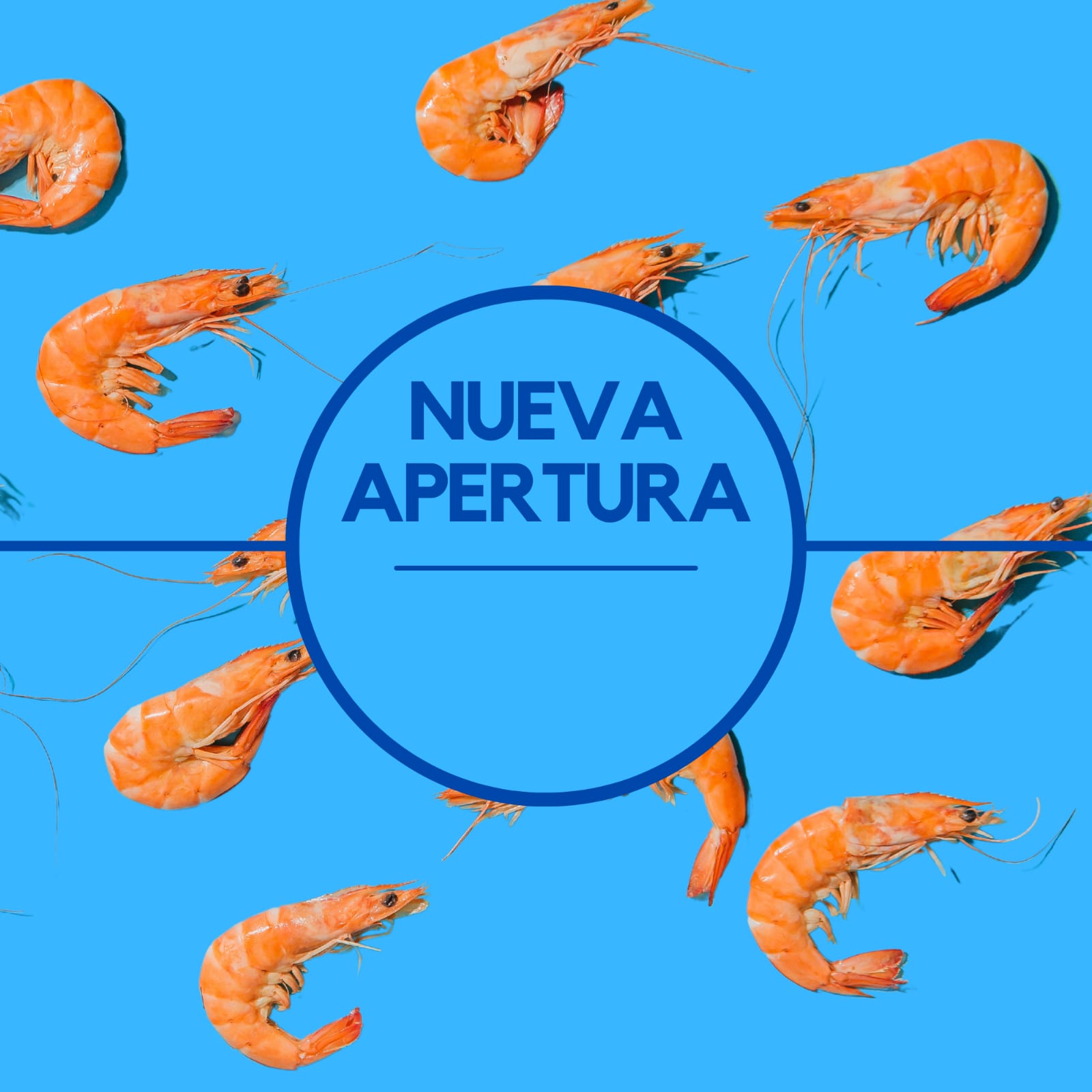 DONYMAR | Sobre Nosotros DONYMAR | Sobre Nosotros