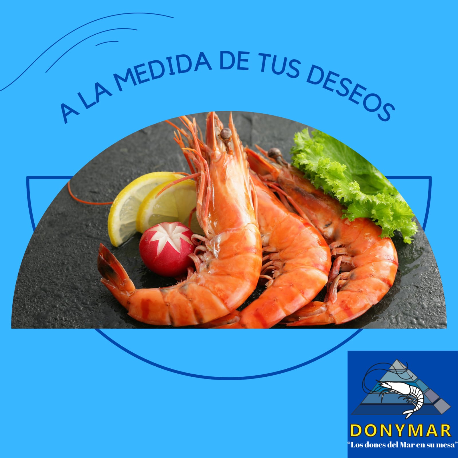 DONYMAR | Sobre Nosotros DONYMAR | Sobre Nosotros