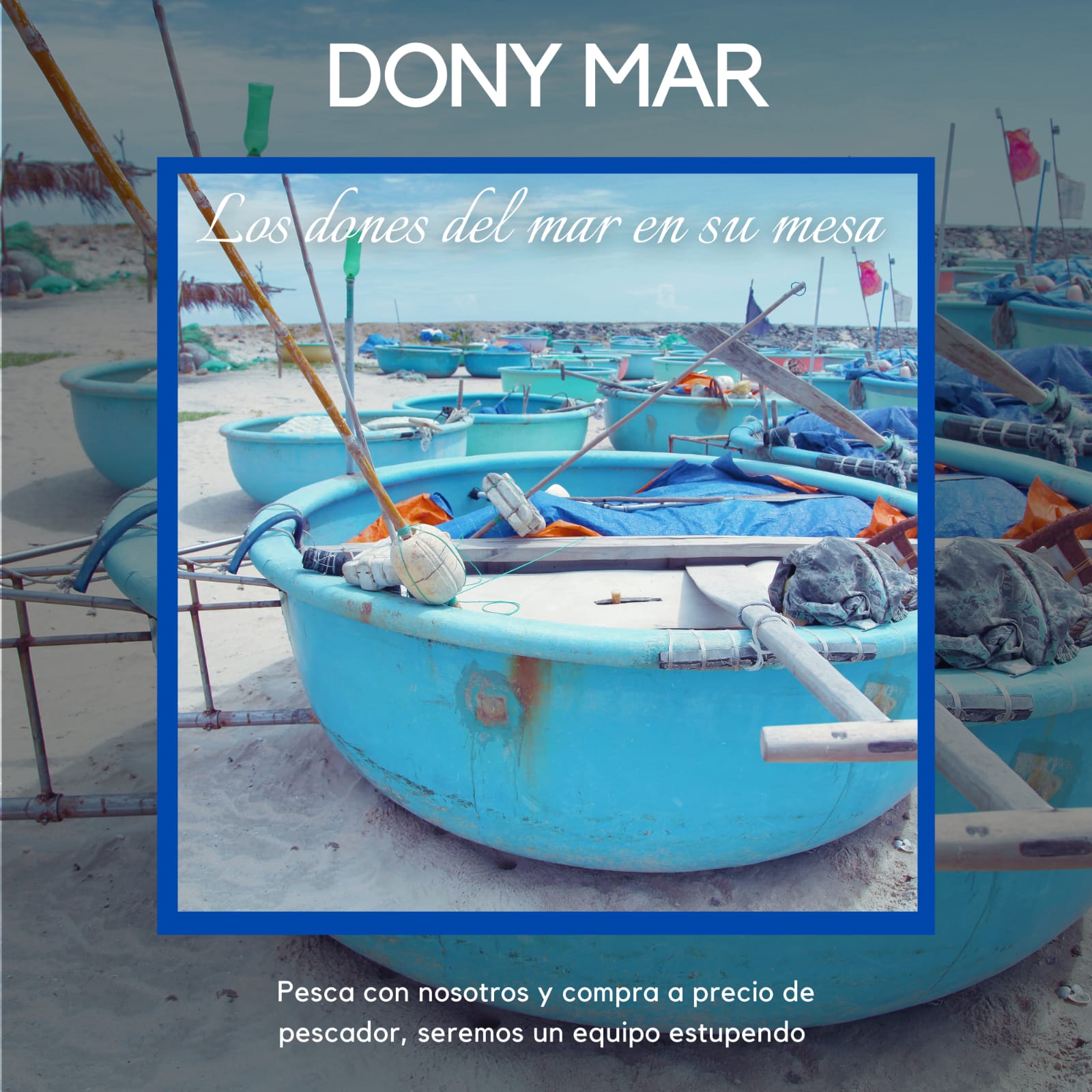 DONYMAR | Sobre Nosotros DONYMAR | Sobre Nosotros