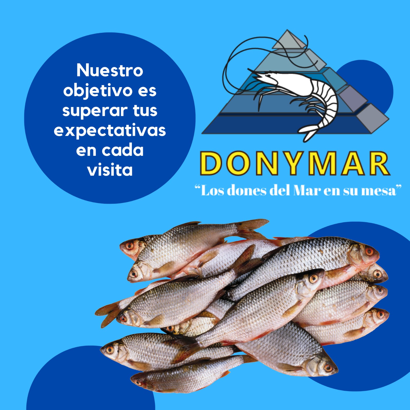 DONYMAR | Sobre Nosotros DONYMAR | Sobre Nosotros