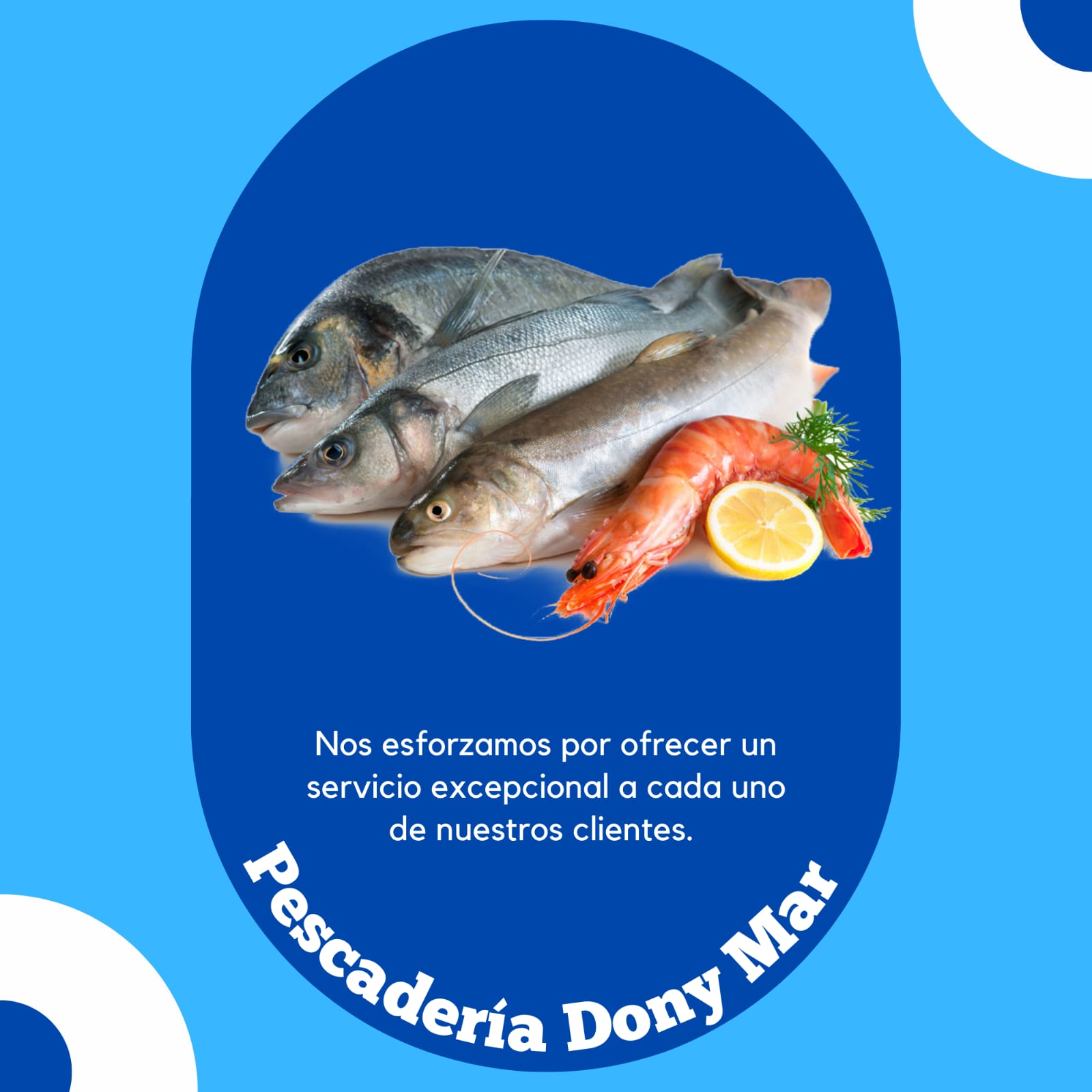 DONYMAR | Sobre Nosotros DONYMAR | Sobre Nosotros