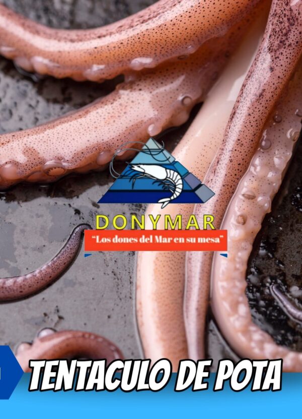 Tentáculo pulpo