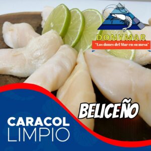 Caracol beliceño