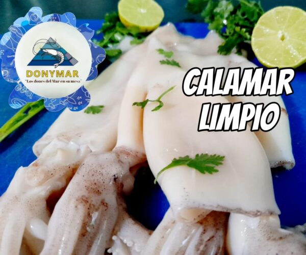 Calamar limpio