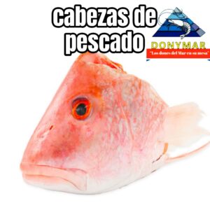 Cabeza de Pescado