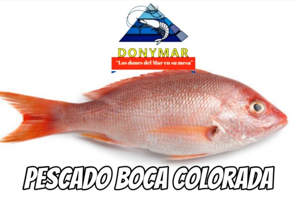 Boca colorada