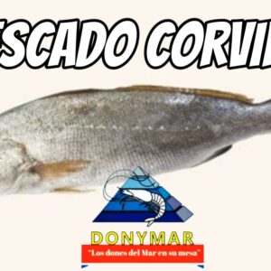 Curvina