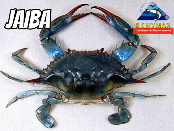 Jaiba