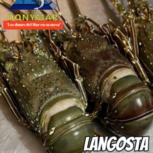 Langosta nacional