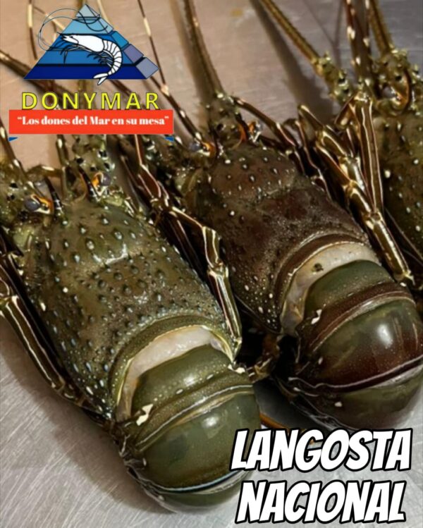 Langosta nacional