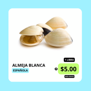 DONYMAR | Almeja blanca española